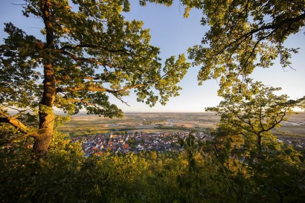 Herrenberg Aussicht vom Grafenberg. Foto: Achim Mende
