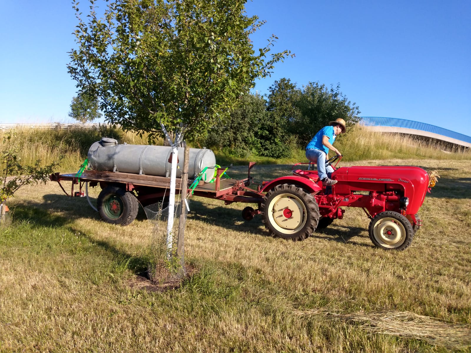 Bewirtschaftung einer Streuobstwiese mit Traktor